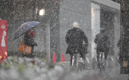 雪国の安全を守る救世主