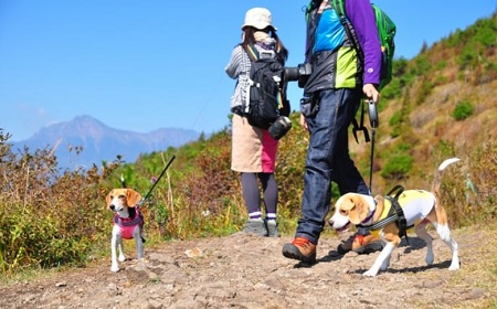 家族が消える？迷子対策未整備の危険性！