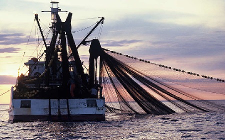 GPS不活用が漁業の危機につながる